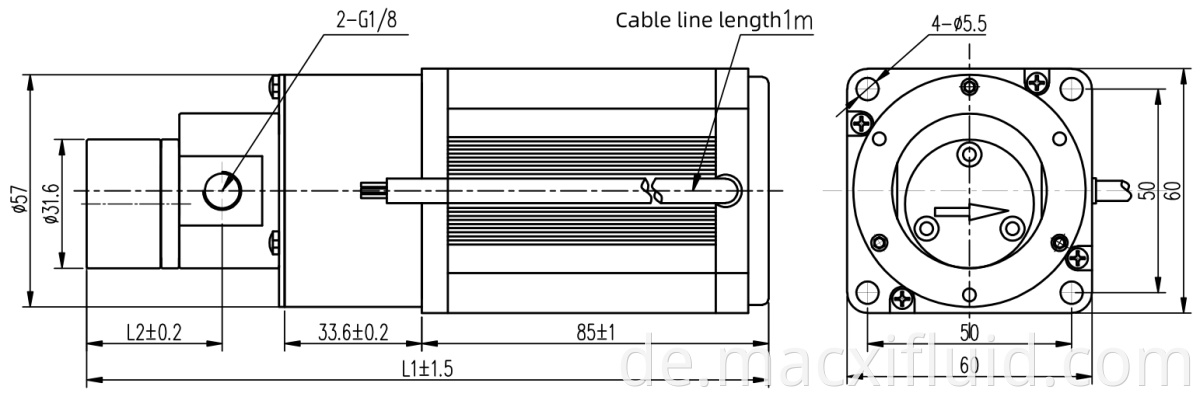 Magnetantriebsgetriebe Pumpe nimmt bürstenlose DC Magnetantriebsgetriebe Dosierpumpe mit Geschwindigkeitsregelung an